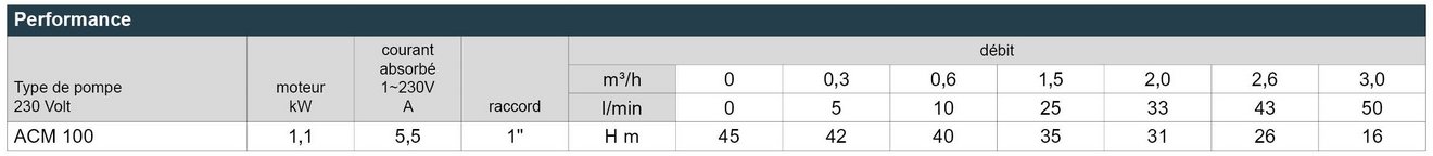 05_ACM_100_Leistungstabelle_Webseite_FR