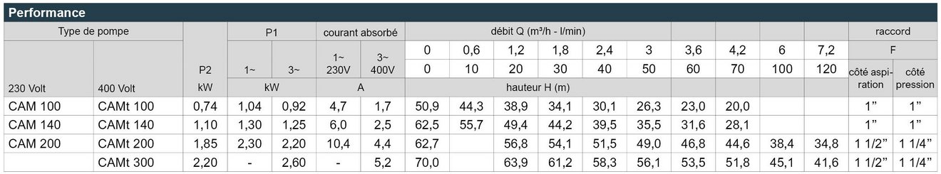 05_CAM_100_Leistungstabelle_Webseite_FR